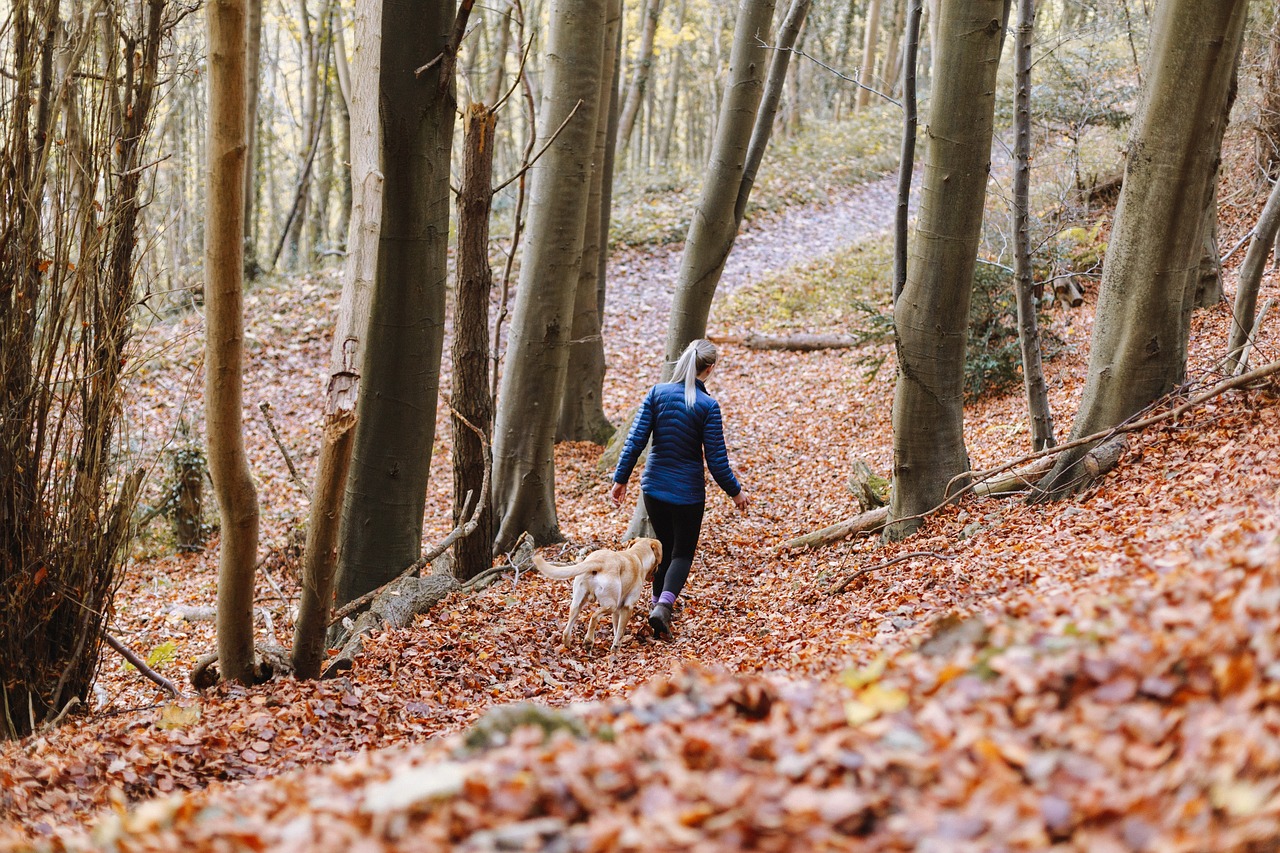 探索归化的最新动态与影响，最新归化消息速递