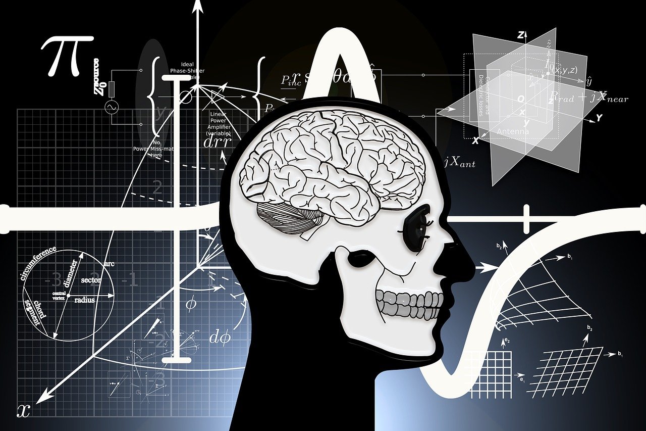 最新高分恐怖片推荐,惊悚与悬疑的完美融合