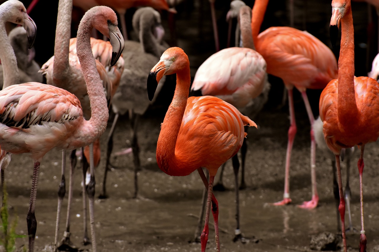 北烟南城 第30页