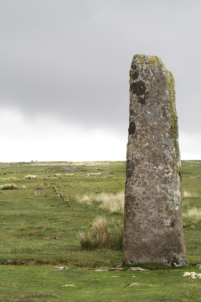 一念花开 第31页