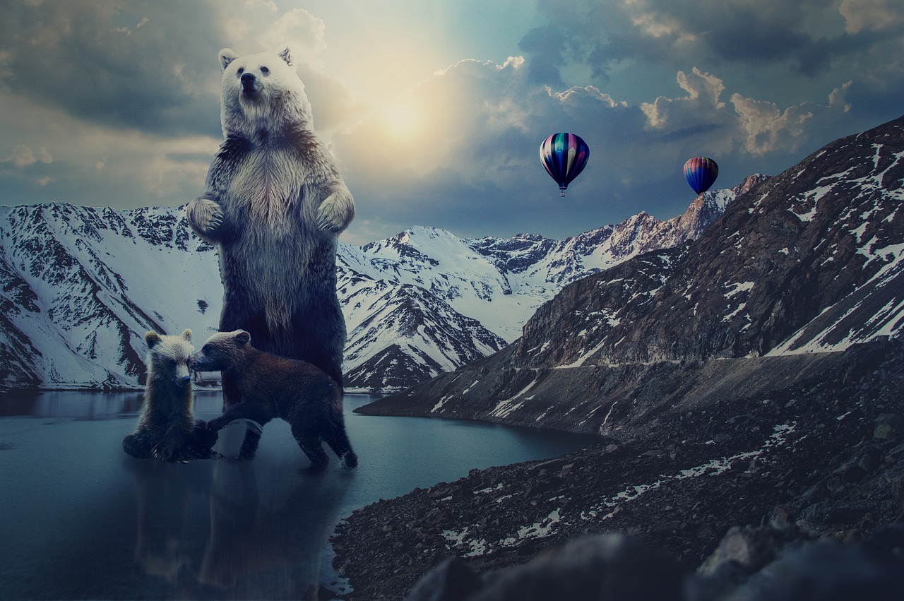 袋熊视频最新版下载，探索与体验之旅