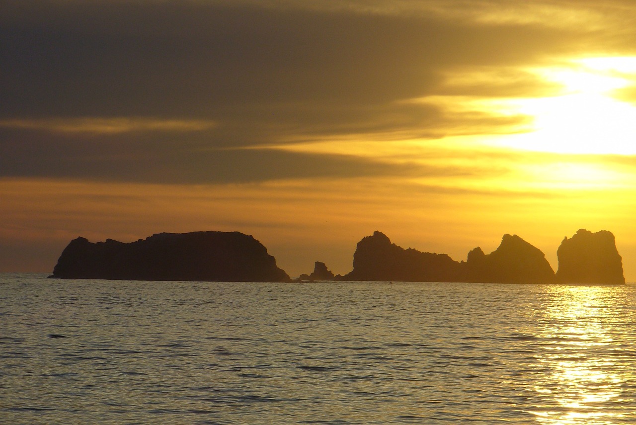 荒野乱斗机甲入侵最新动态解析与揭秘