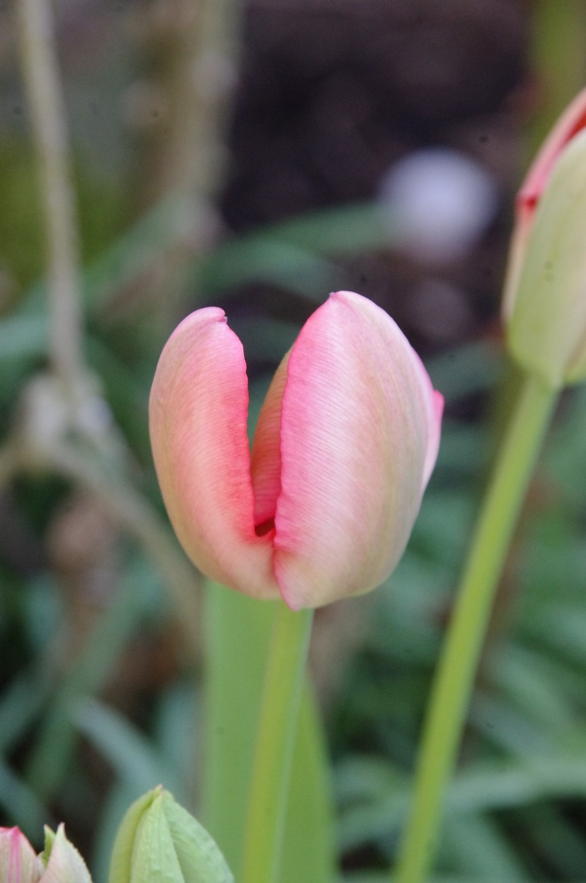 大连开学时间最新动态,开学时间分析与预测