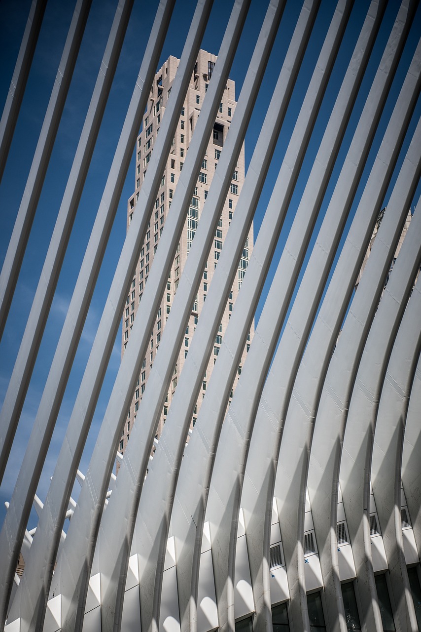 脱口秀大会最新动态与深度观察综述