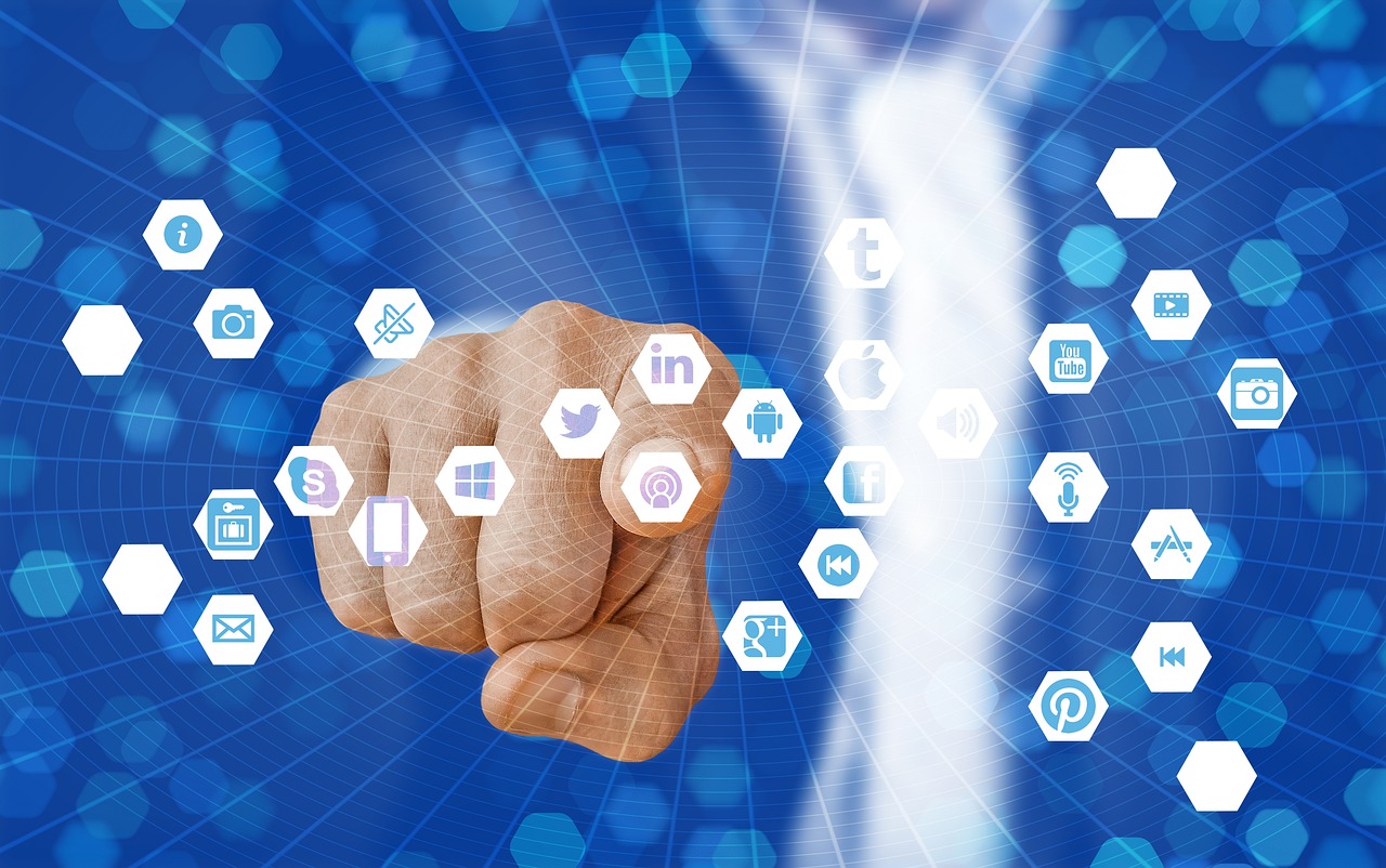 辛巴燕窝事件后续,真相揭秘、反思与未来展望