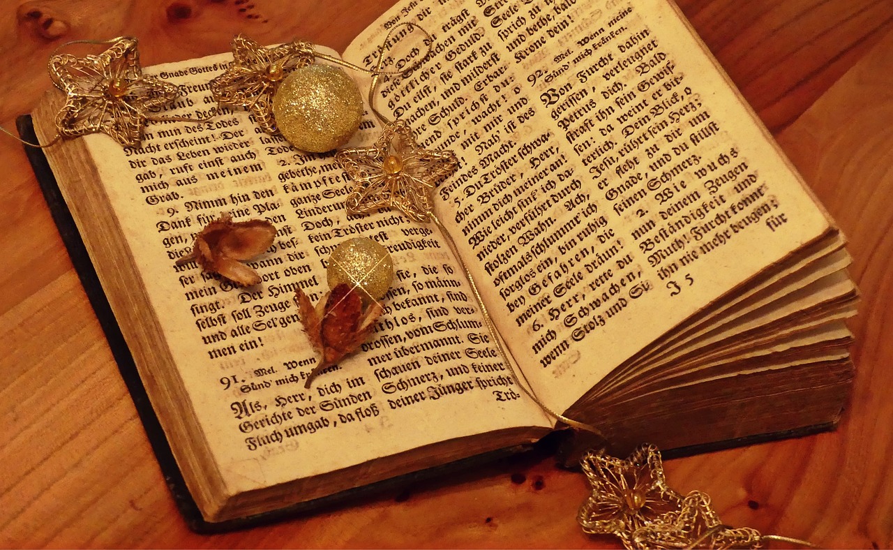 最新小学语文论文题目探讨，内容深度解析与启示