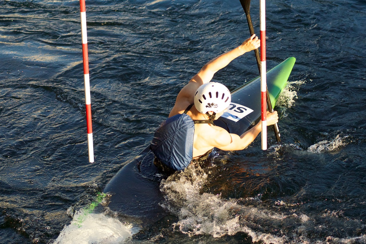 紫鑫药业最新动态,深度解析公司最新情况