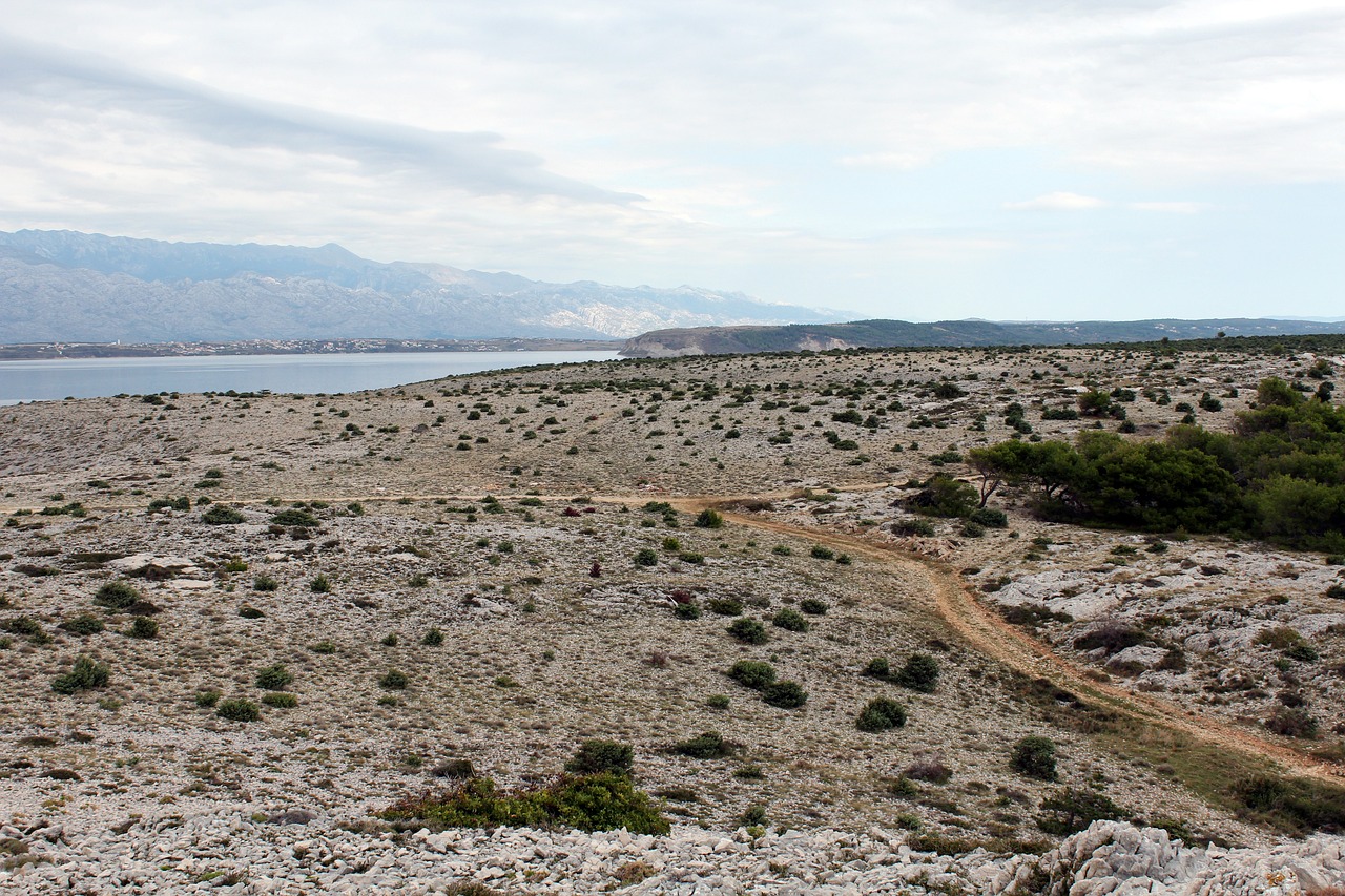 珠海十字门最新动态及前景展望