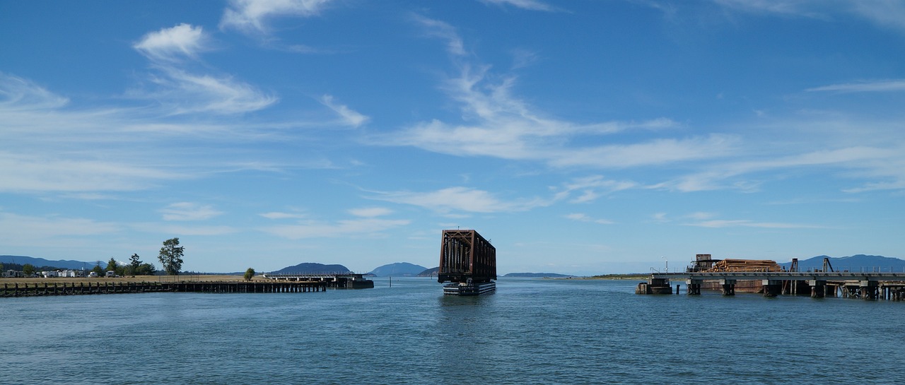 十九号台风最新动态解析及全方位应对策略指南