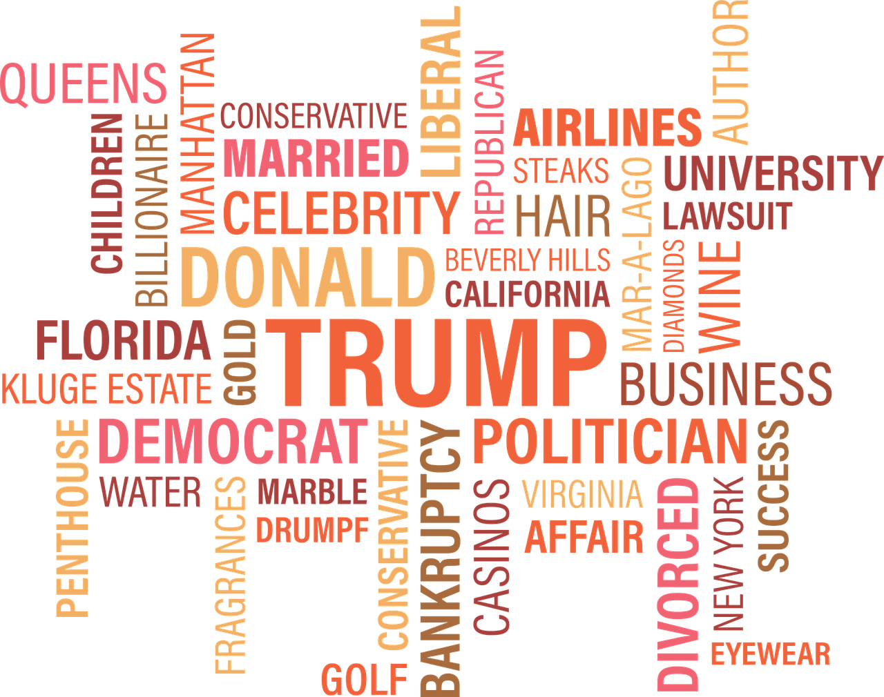 特朗普最新选举门票，热议与未来不确定性聚焦点