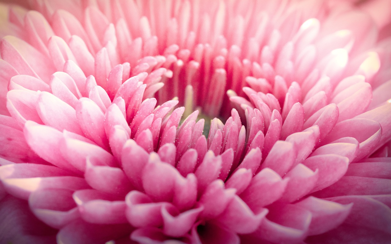 时珣最新动态，揭开未来无限可能