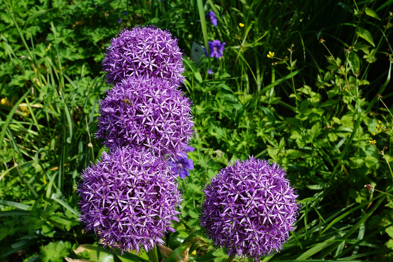 一汽丰越最新动态，创新发展的前沿探索与未来展望展望