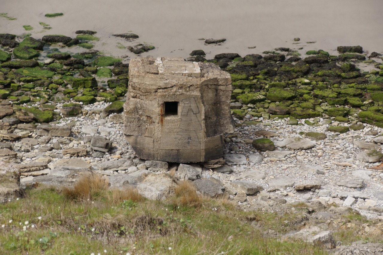 阿塞拜疆军事动态综述,国防力量发展与地区安全局势影响