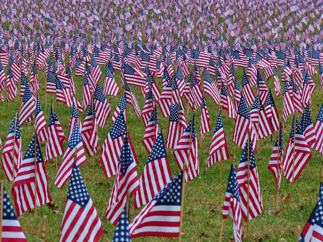 新冠肺炎最新动态，全球进展、疫苗进展与防控策略调整