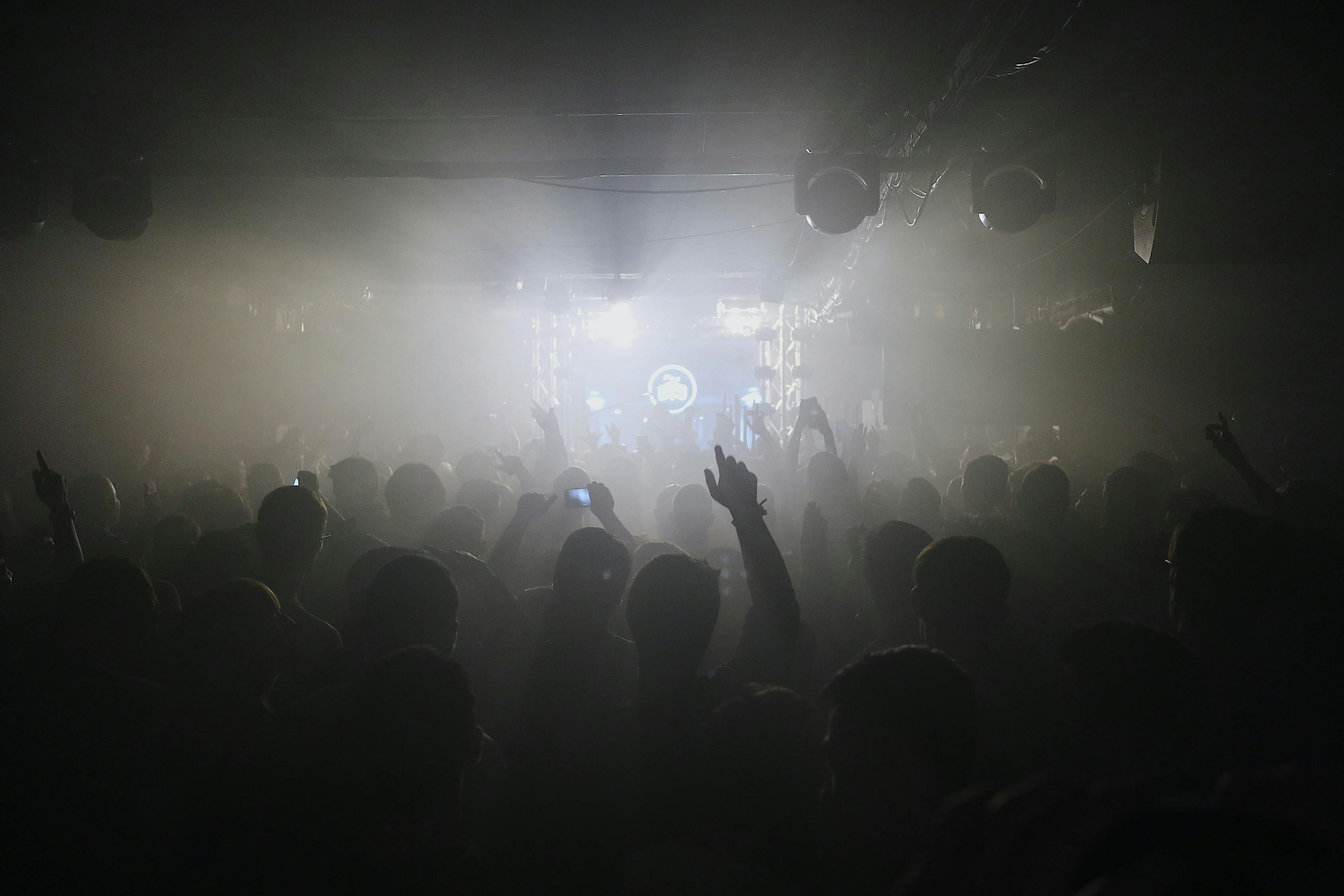 夜色中的诗意与情感,豆娘夜轻歌最新篇章