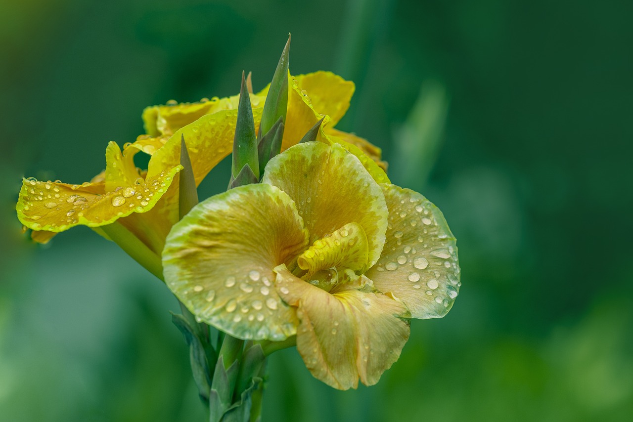 易烊千玺最新动态，星途璀璨，多元发展之路