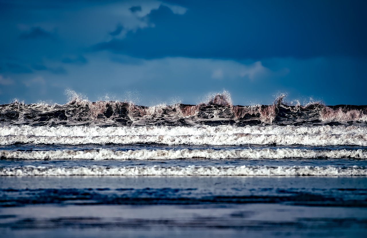 江西九江抗洪最新情况报告更新,实时了解抗洪进展