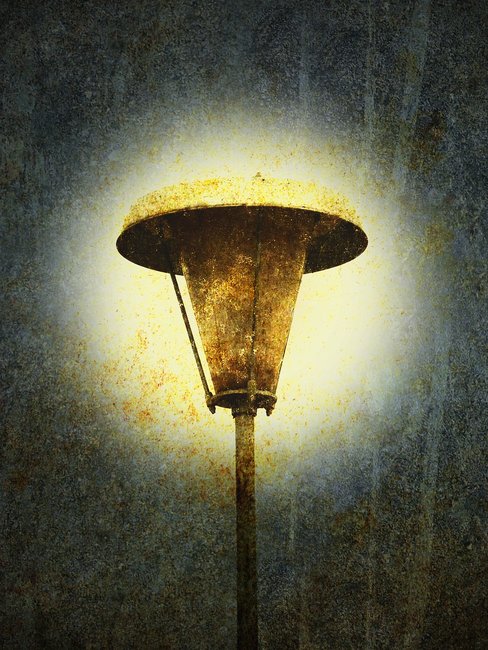 2024年12月 第31页