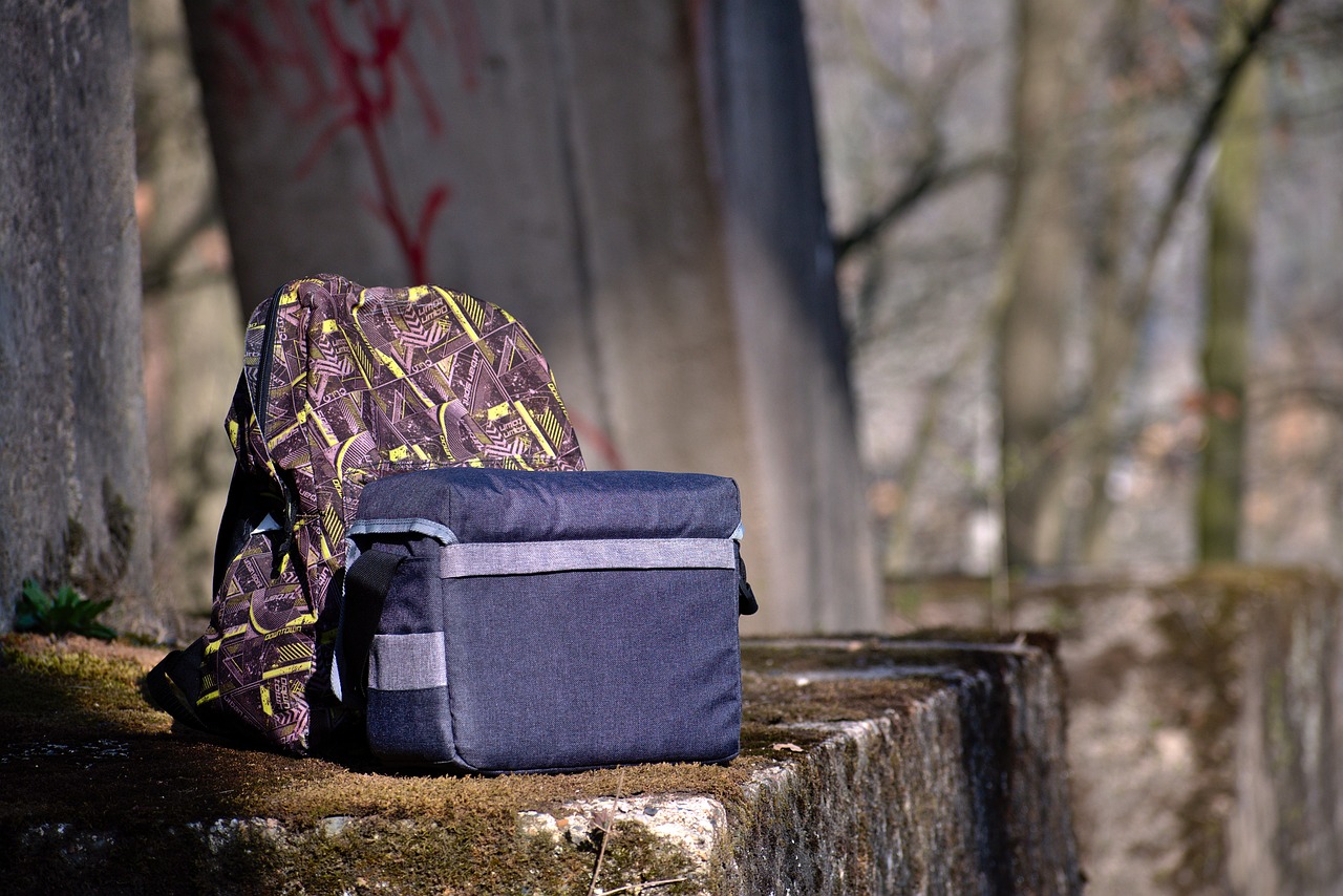 飞鸟客最新动态深度解析,最新消息一览