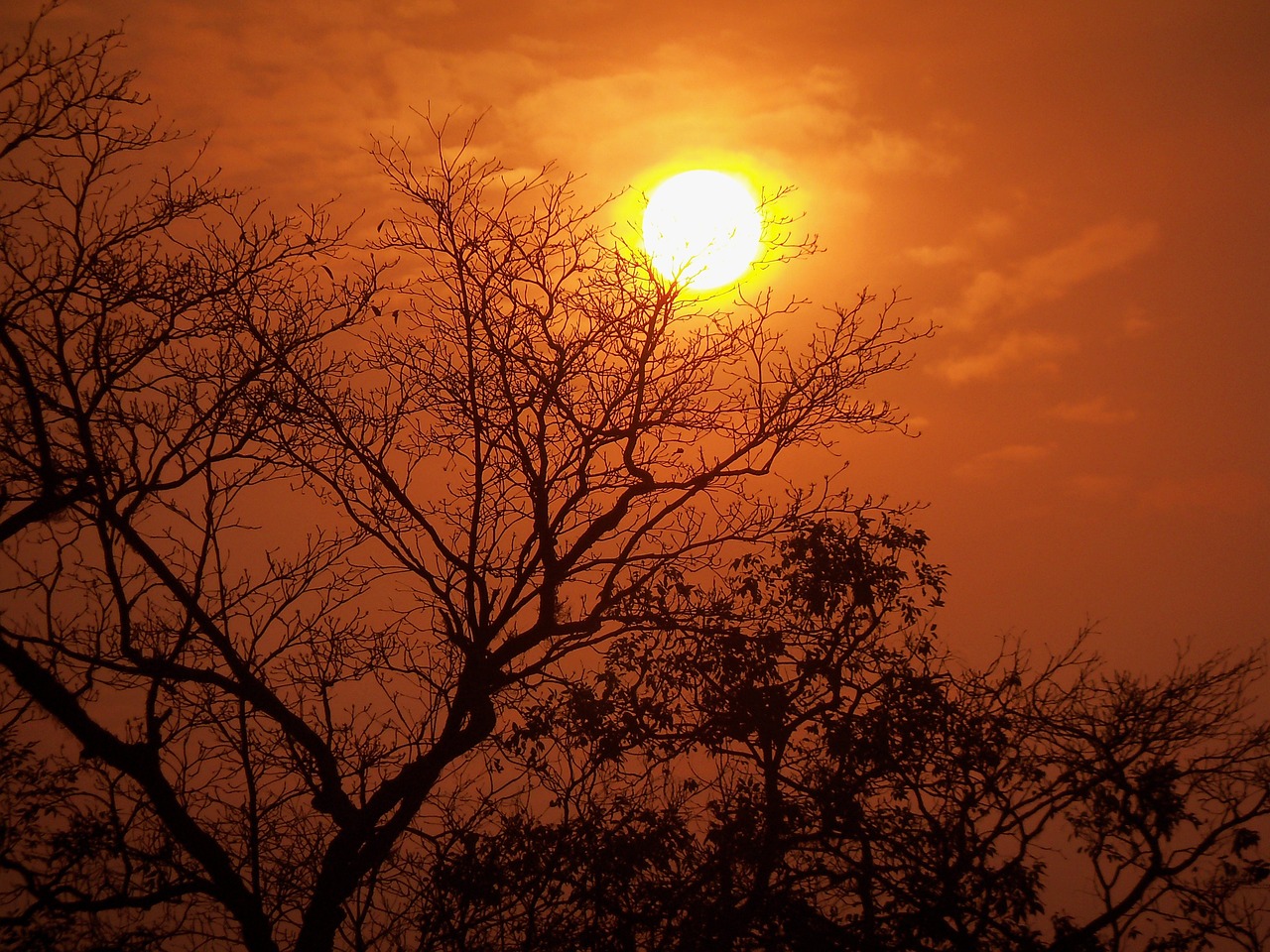 世纪华通乐游科技引领数字娱乐新纪元,最新动态与科技创新成果展示