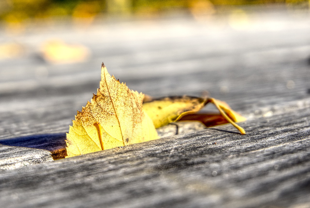 全球地震动态更新，最新地震速报与应对之策