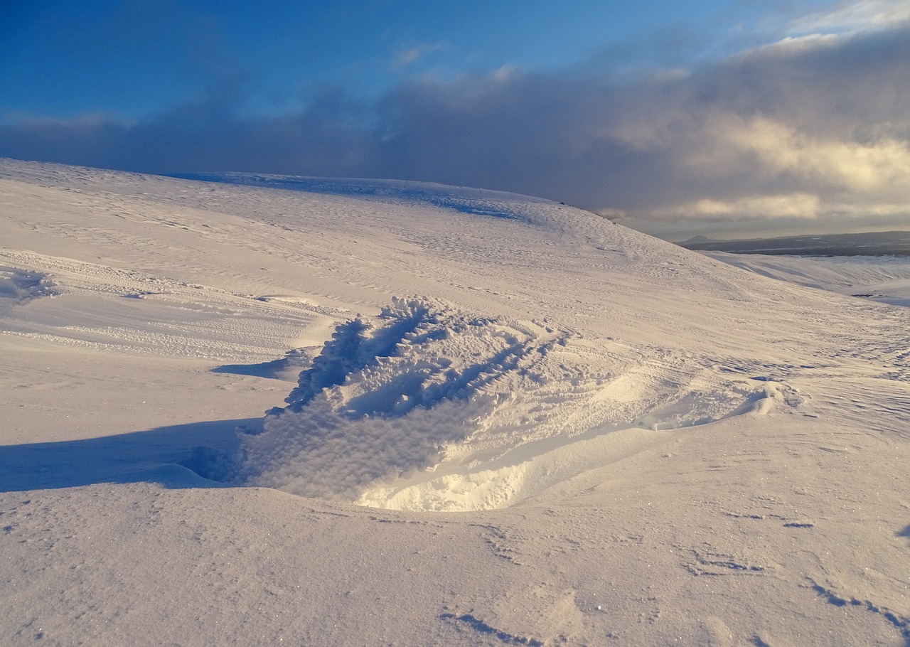 乘风破浪的姐姐最新风采，无畏前行，绽放生命之光