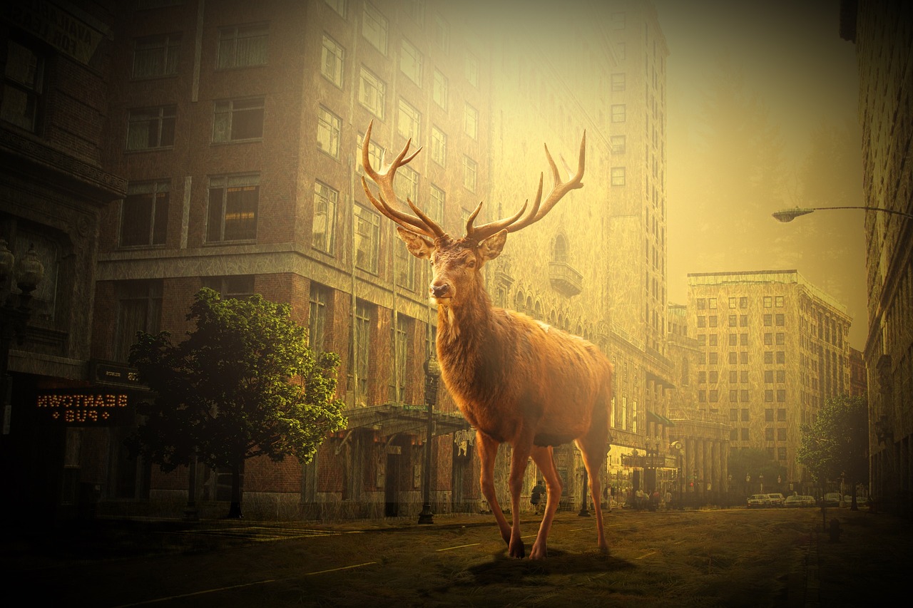 2024年12月 第2页