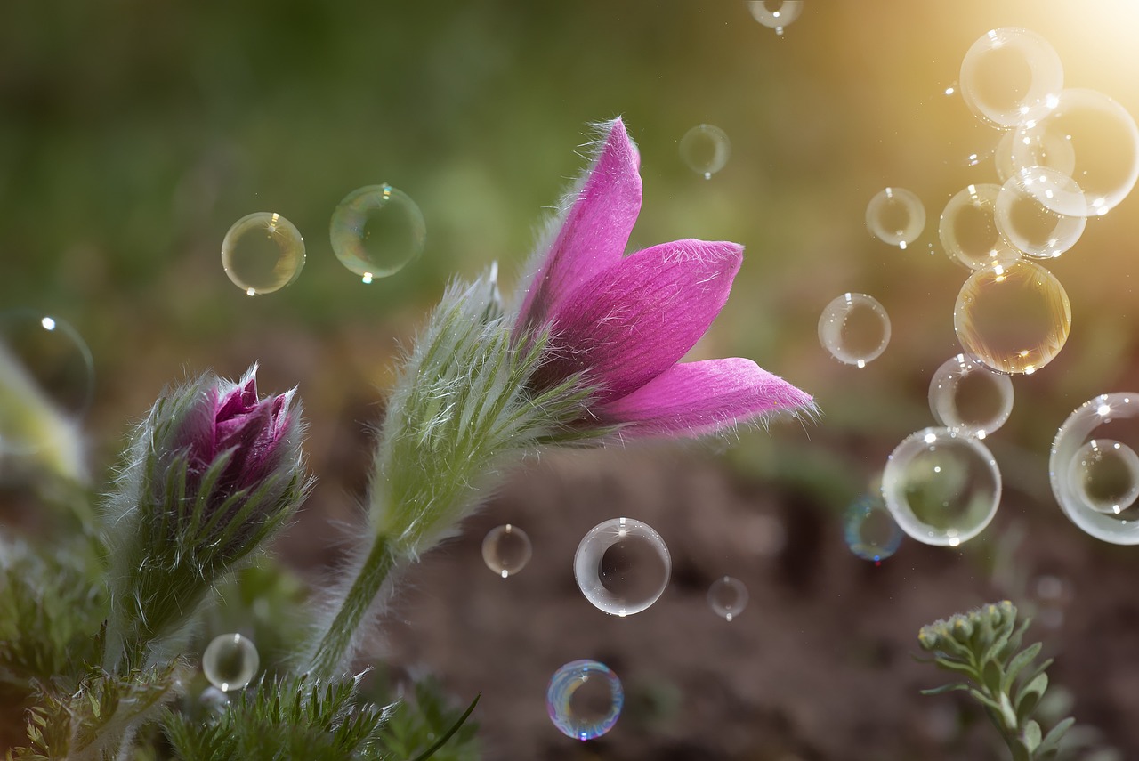 如梦如幻 第28页