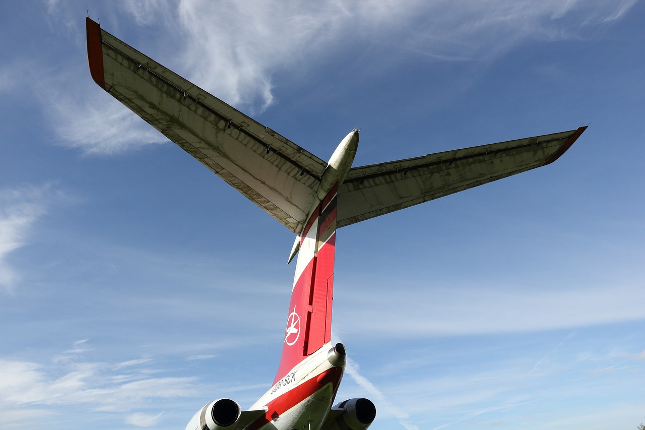 武肺最新动态，全面解读与应对现状的策略更新