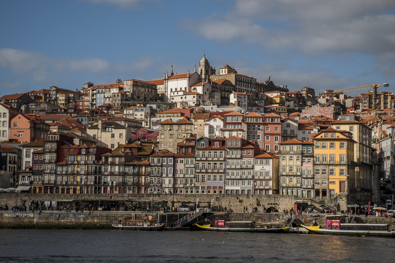 四虎最新页面探索与解析，揭秘最新动态