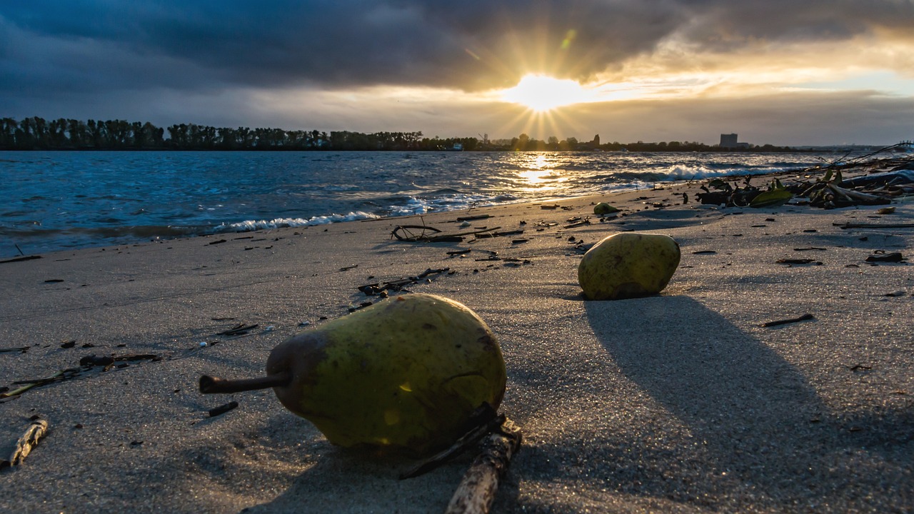 安徽省合肥市疫情最新动态分析与更新