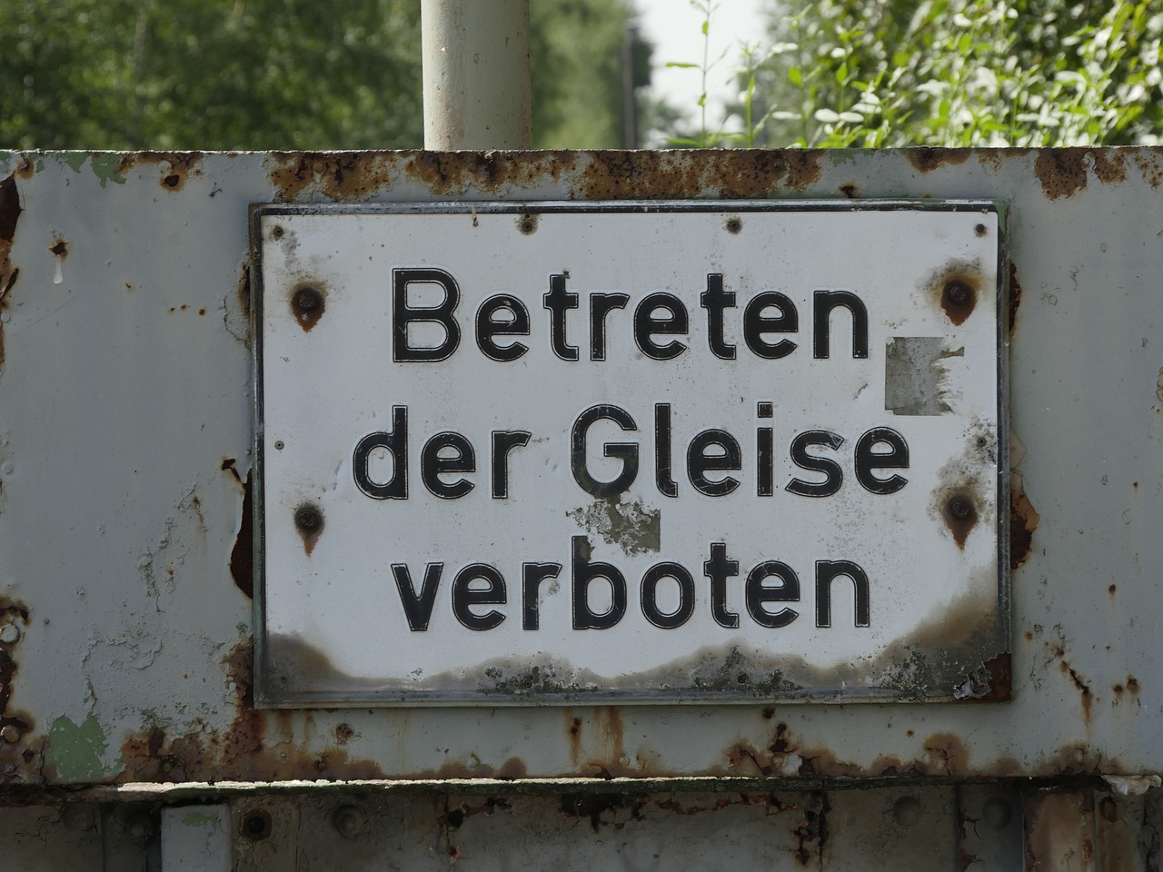 白酒假酒最新动态，行业警示与消费者应对策略