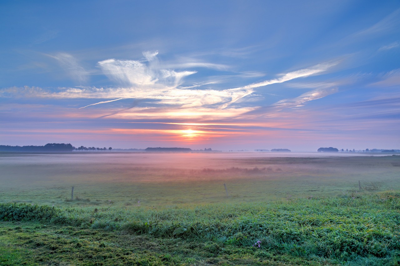 西安市公交迈向便捷绿色智能未来,最新通知揭示最新动态