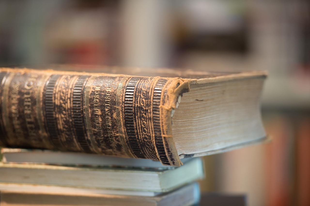 我国最新政策的深度解读与启示