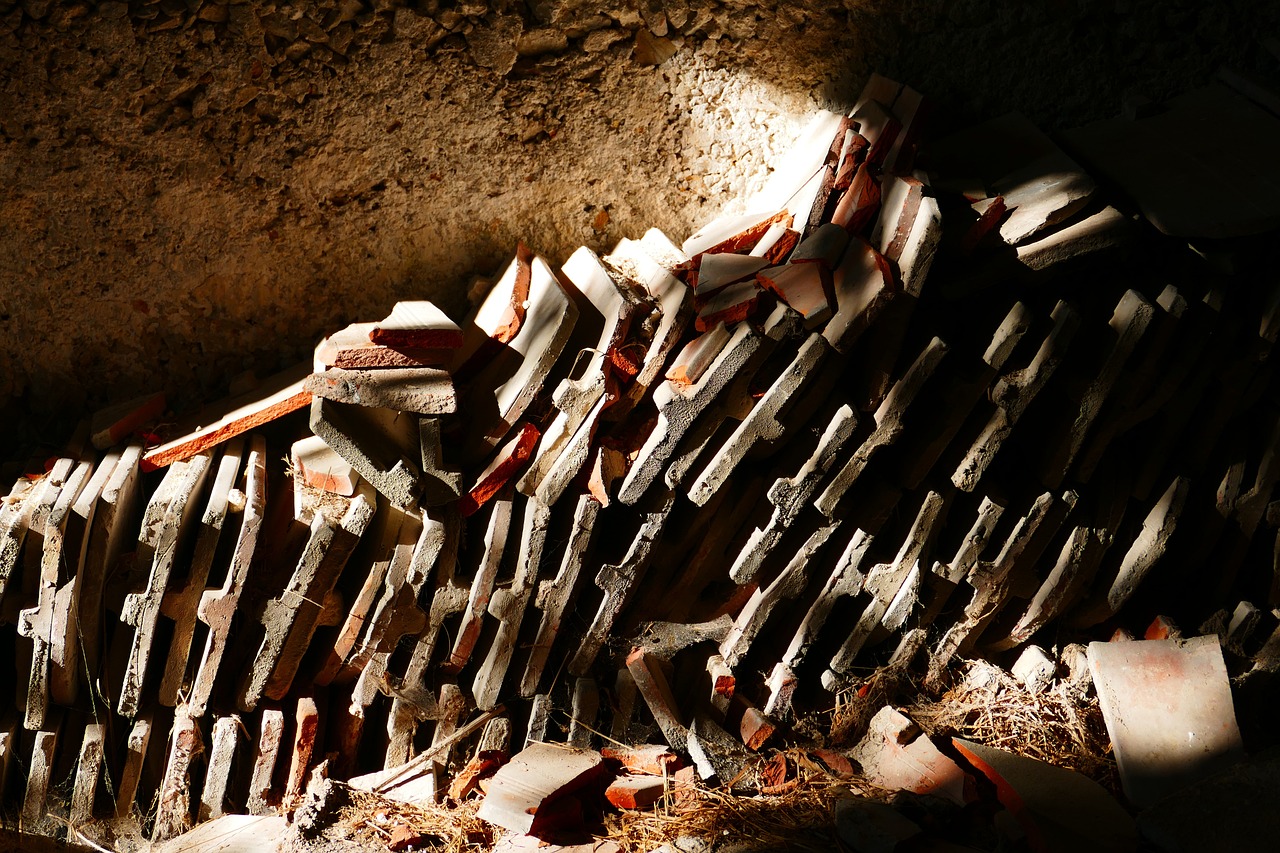 沪光股份最新股票动态与市场解读