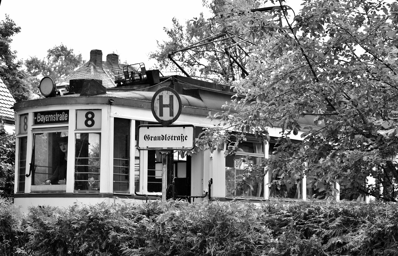 西安青龙寺重塑历史与现代融合典范，最新项目揭秘