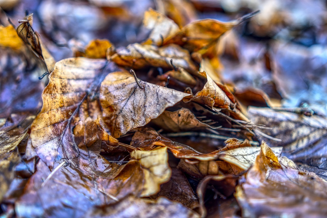洪泽区最新地图揭示区域新面貌与发展动态