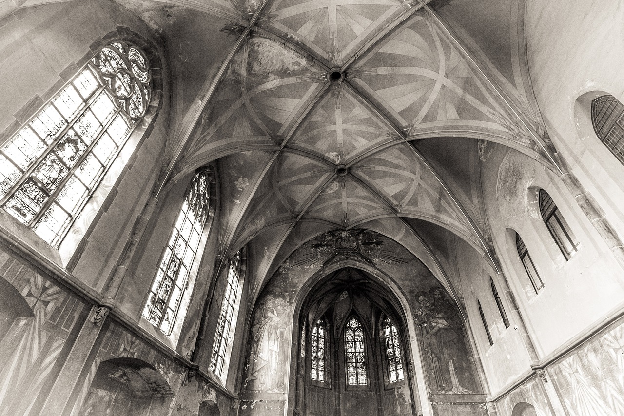 皇灾最新消息全面解析与动态更新