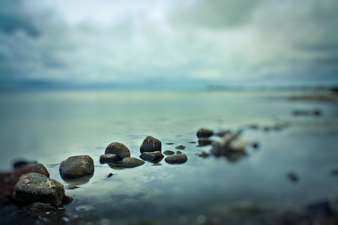 探索最新版本5的独特魅力