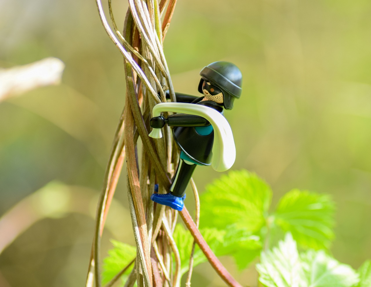 前国脚最新动态与热议，揭秘最新消息和热议话题