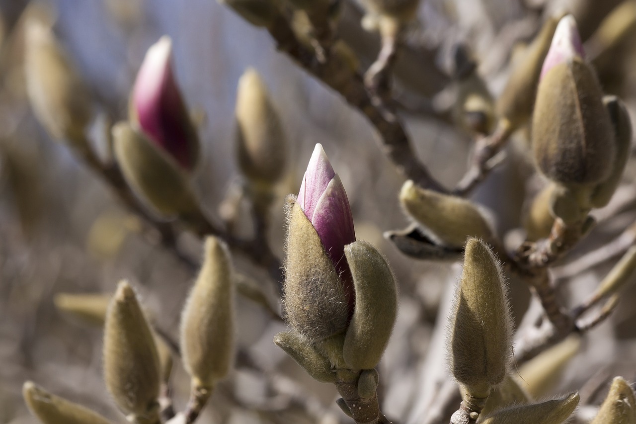 二七厂最新动态深度解析报告