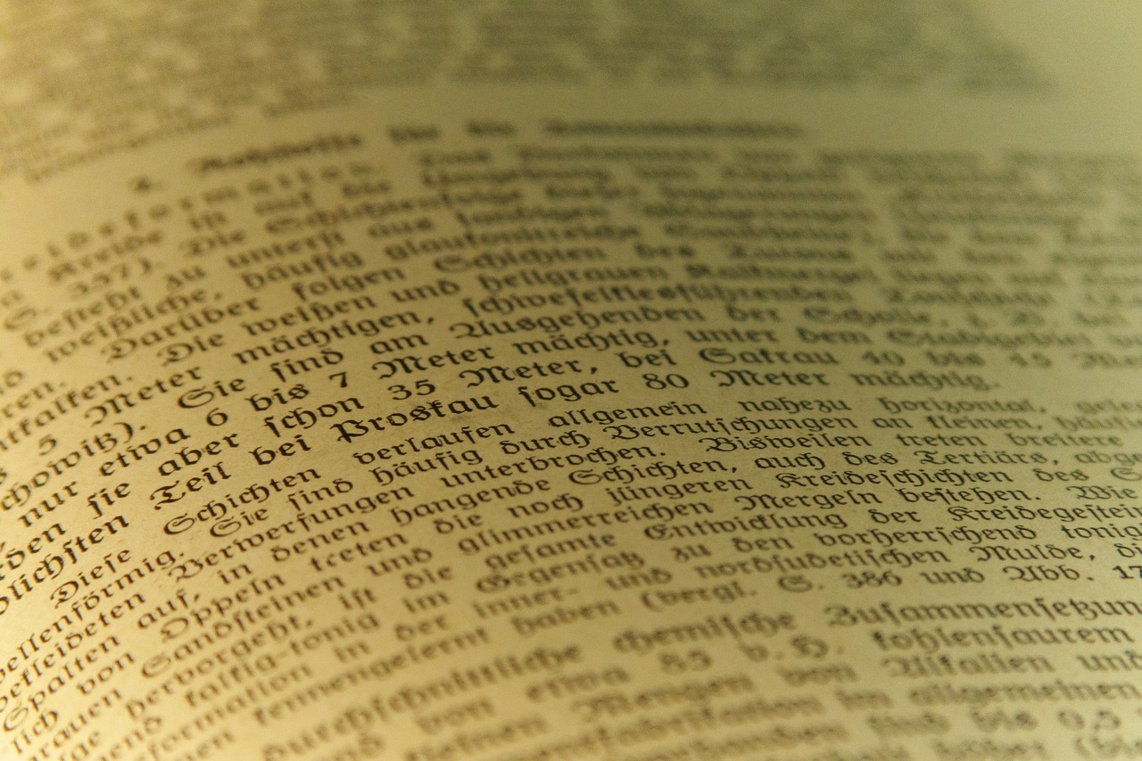 薄暮知秋 第28页