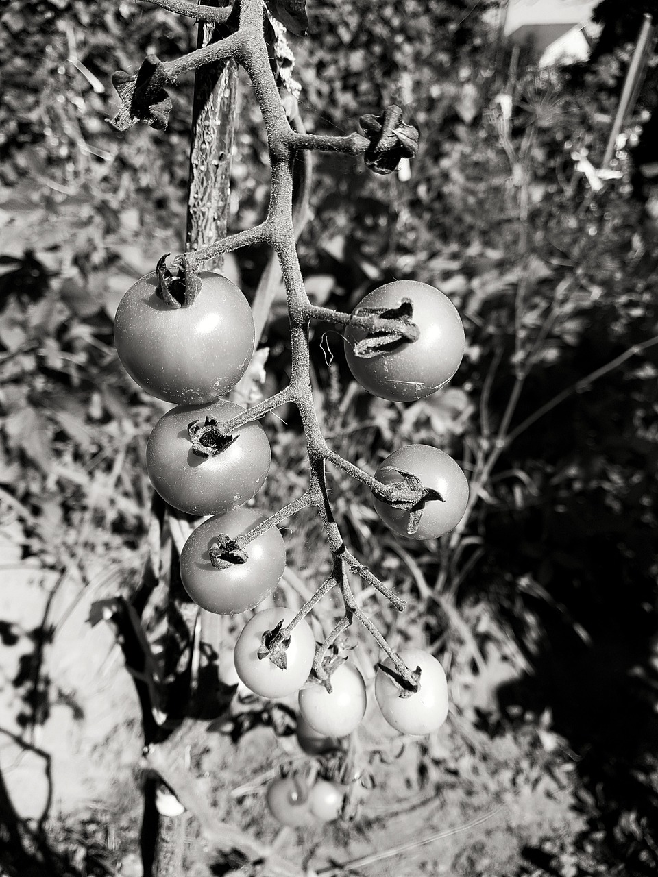 国际原油最新动态与报价分析，今日市场洞察