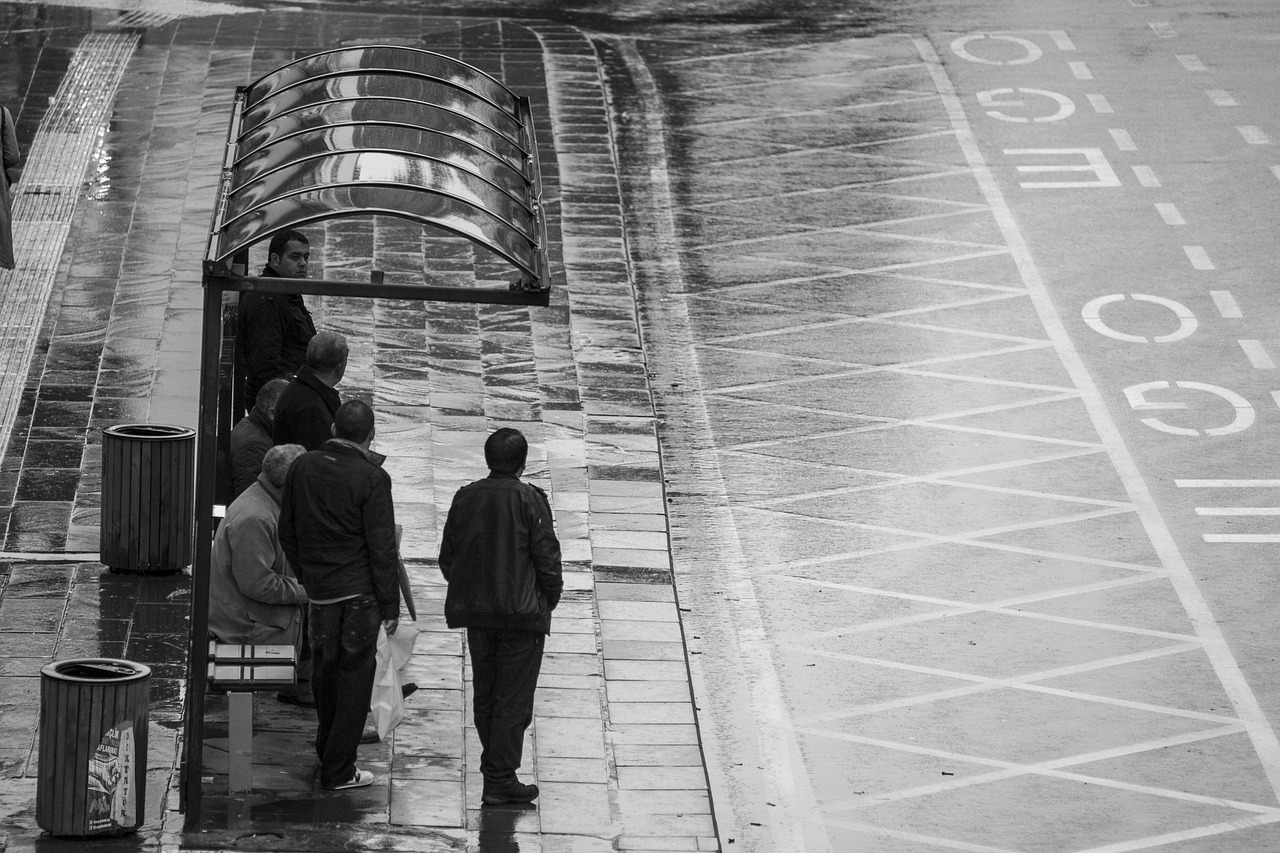 最新电影天堂,免费在线观看最新电影的无限可能