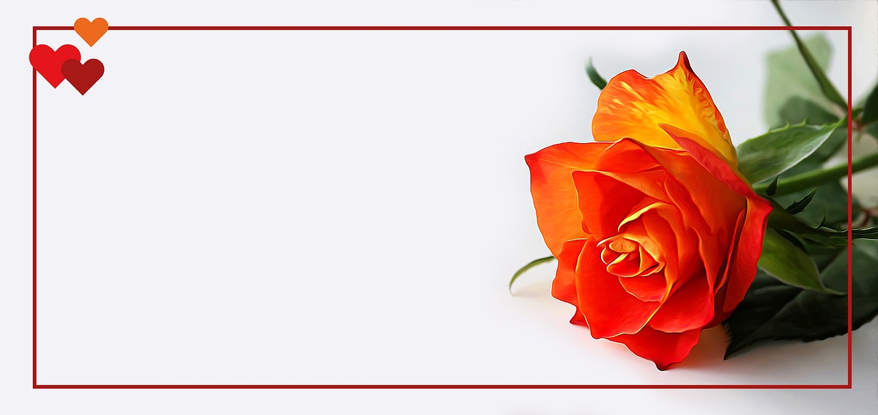 民法典婚姻最新动态,新时代的法律框架与变革