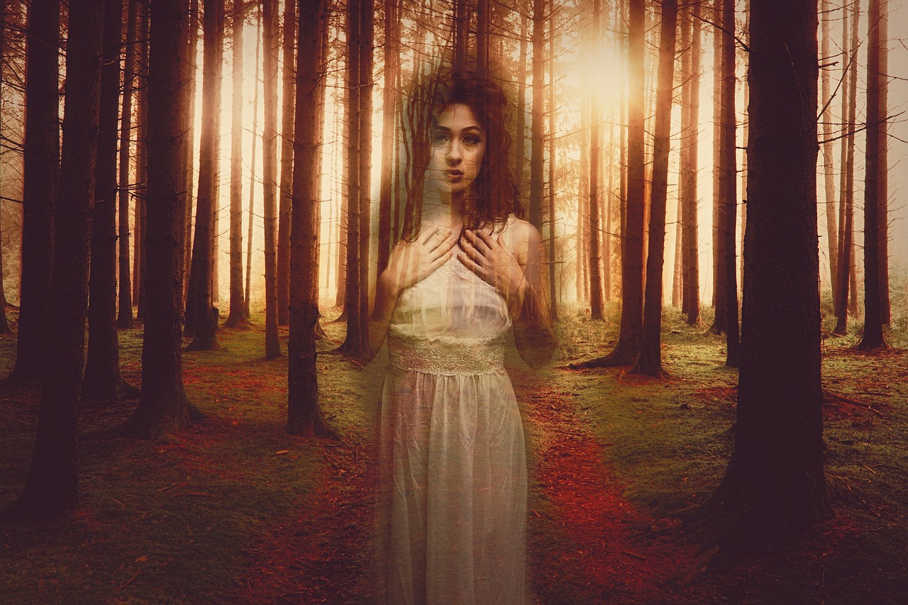 最新高分悬疑推理电影,探究心理与真相的极致魅力