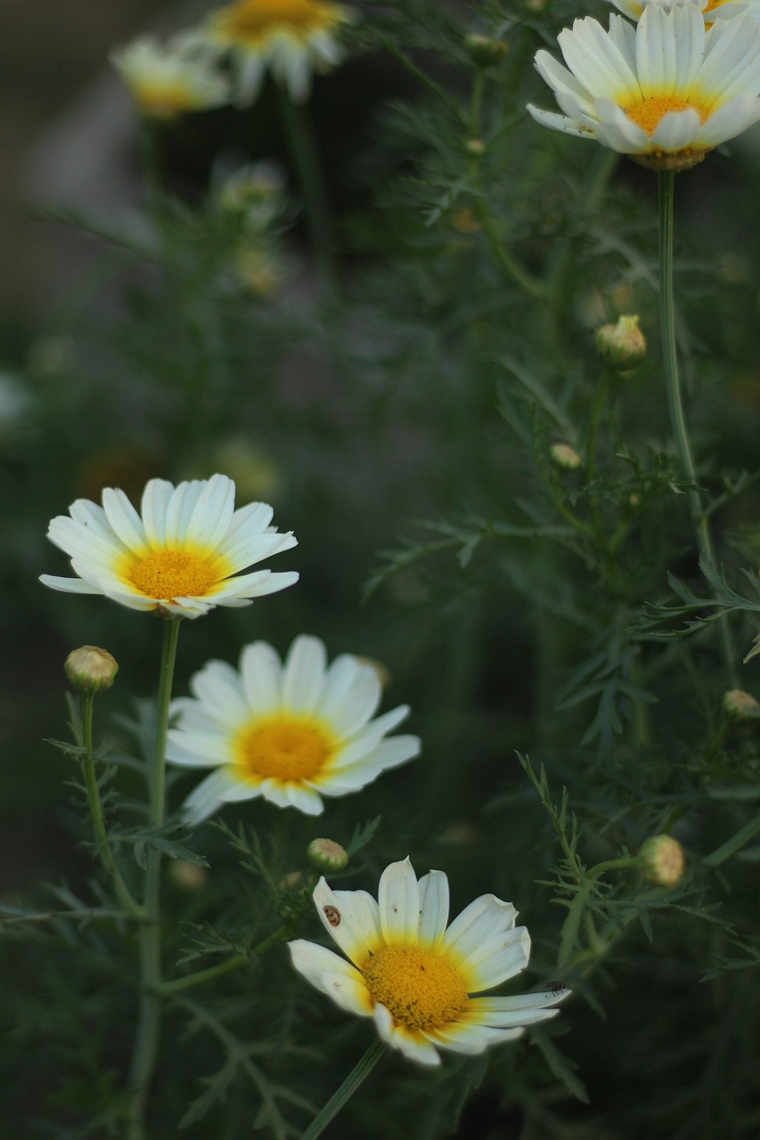 王金宝事业腾飞,人生新篇章的最新动态
