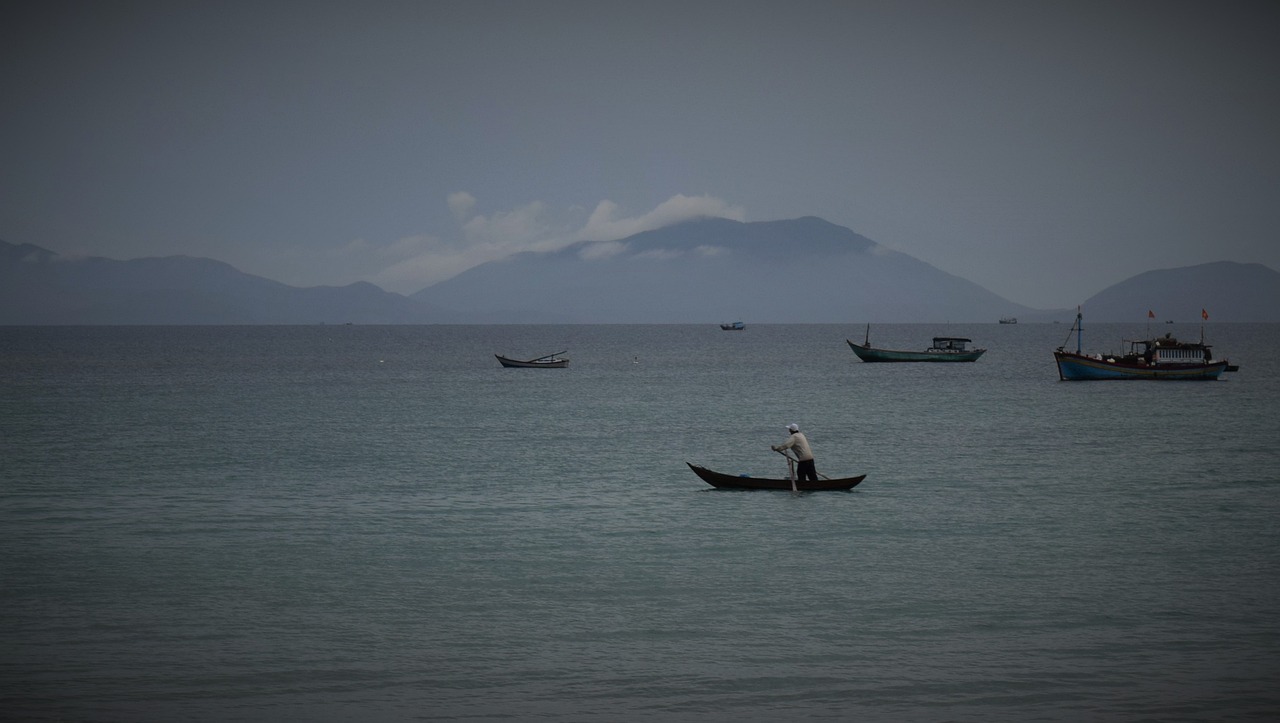 朝阳下的生活启示录，最新一周早晨的感悟与启示