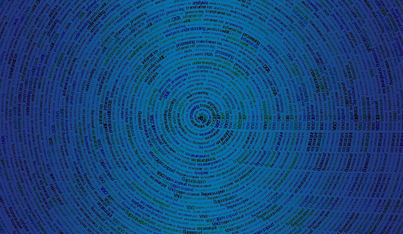 燕窝事件最新动态，消息汇总与影响分析