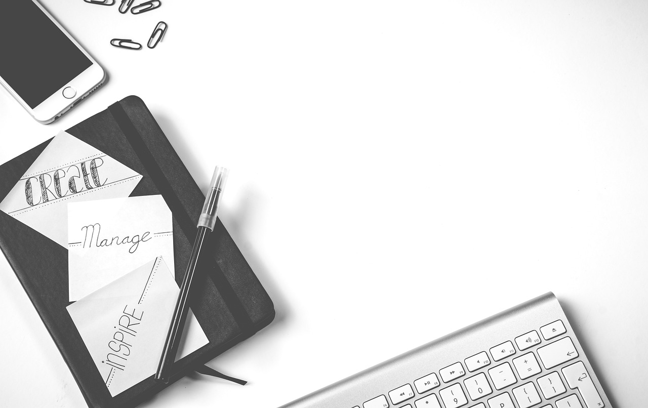 探索最新信息的高效查询方法，最新一期资讯一网打尽